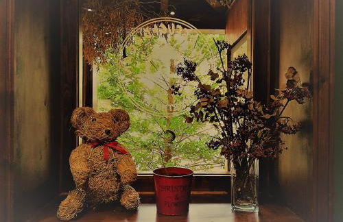 El Refugio de Aran Vielha Aparthotel - Foto 62