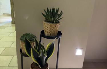 Amarla Dolce Vita feel good, you're in Bari - Foto 15