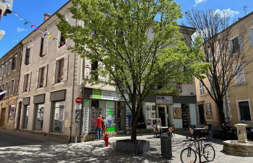 Appartement le saint Pierre - Foto 8