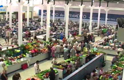 Quinta D'Avó - Foto 71