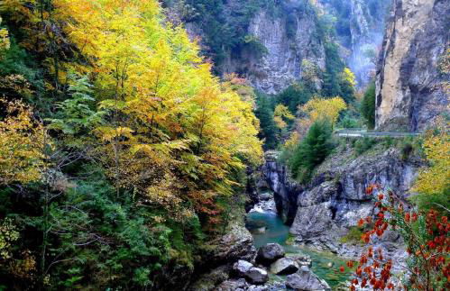 Casa Pirinea Ordesa - Foto 51