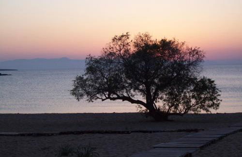 Comfortable House near Chania - Photo 21