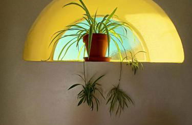 Bellísima cueva acogedora "Casa Olivia" - Foto 7