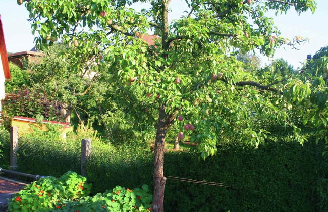 Meadow View Cottage in Winterstein Thuringia near Ski Area - Foto 16