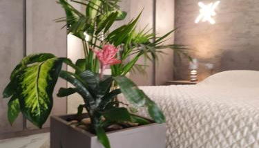 MiNi Paradise - Foto 2