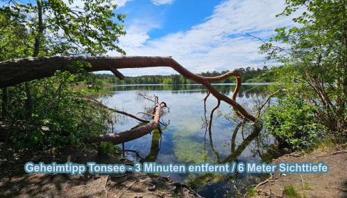 Hüttendorf für Euch alleine - geführter Yachtausflug nach Prieros inclusive! Nur 3 Minuten zum Badesee Fahrräder kostenlos vorhanden - Foto 4