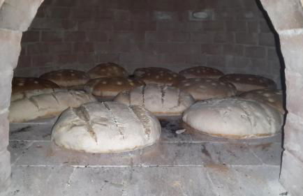 Azienda Agrituristica Le Terre Di San Leonardo - Foto 40