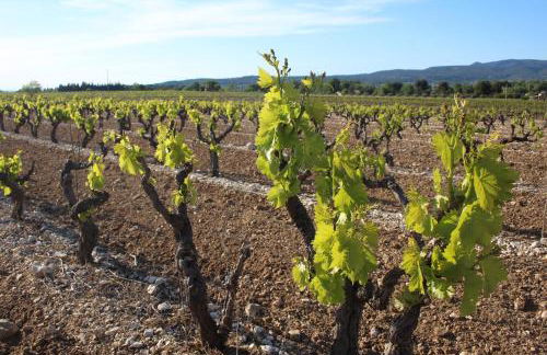 Les Guillaume Rey - Foto 55