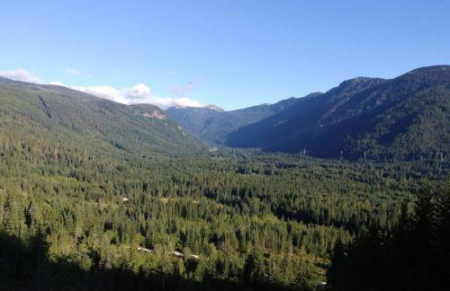 Hot Tub Cool Views: Roaring Creek Cabin - Foto 47