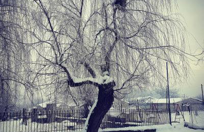 Domus Inn - Photo 71