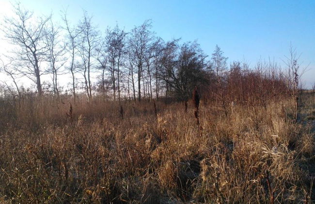 Tranquil Seaside Haven-by Traum - Foto 10