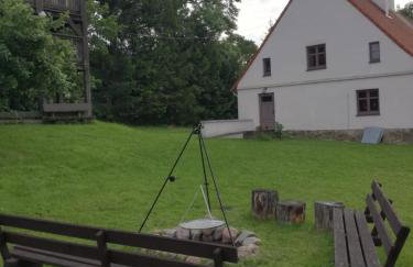 Żywkowo Bocianie Gospodarstwo Rolne - Foto 20