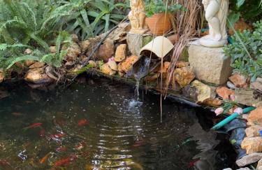 House of sunset 3 - Photo 24