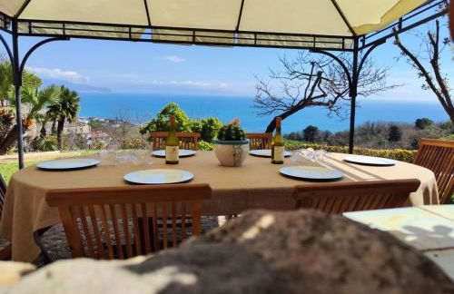 Ippocampo Blanc - Foto 2