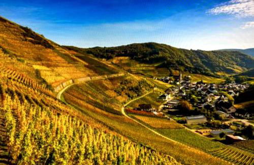 Live joy- 3 Zimmer Wohnung - Foto 24