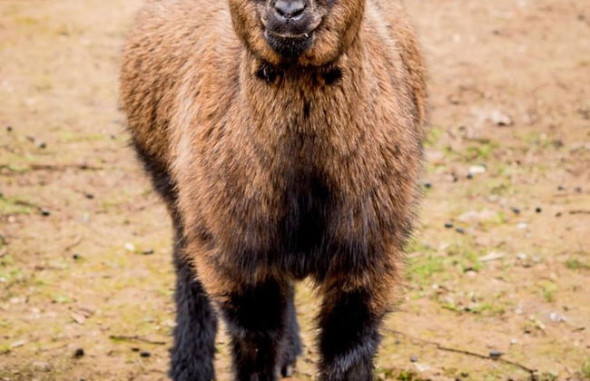 Quinta Manel da Gaita - Foto 43
