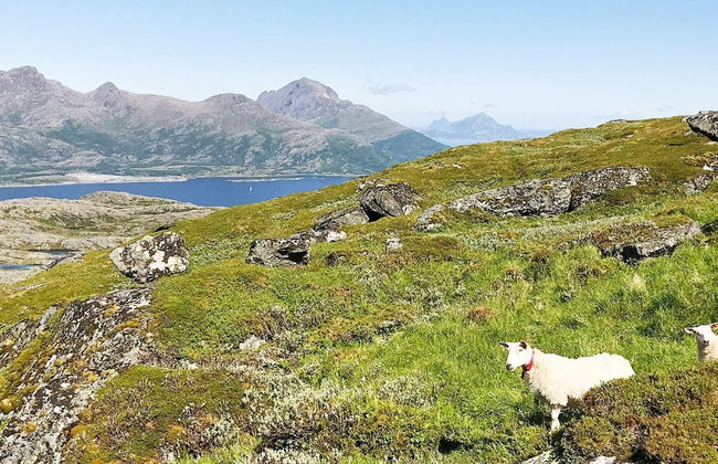 4 Star Holiday Home in Vikholmen - Foto 19