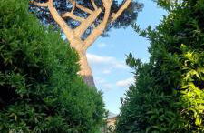 Daddy House - Foto 24