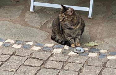 les Gites de l’E.D.E. - Photo 64