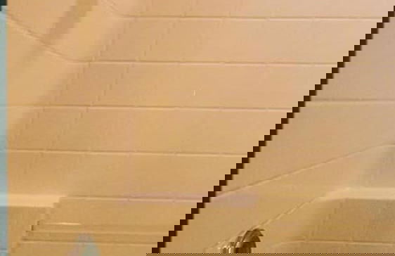 Lakeview Cabin with Boat Slip - Foto 16