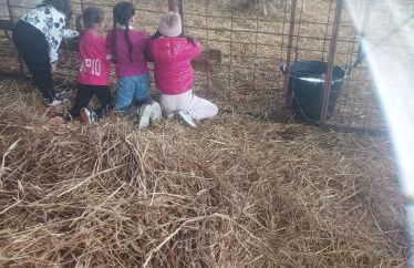 Agriturismo - fattoria didattica Caratozzolo - Foto 3