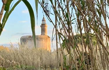 Lou Mirèio - Foto 30