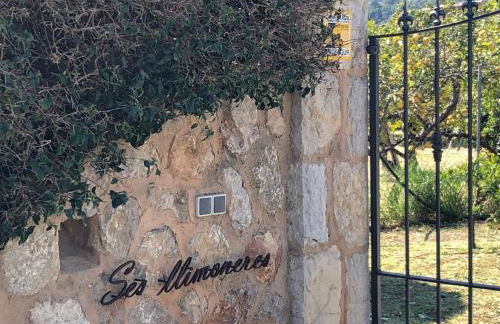 Ses llimoneres - Foto 17