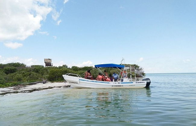 Ganztägige Tour nach Holbox und Passion Island mit Cenote, Transport und Mittagessen - Foto 14