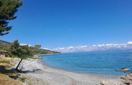 Nama Beach House - Photo 18