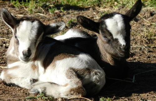 Laerchhof - Photo 29