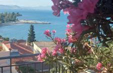 Βίλα Πασιθέα - Photo 2