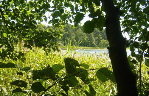 Bednarzówka - Foto 72