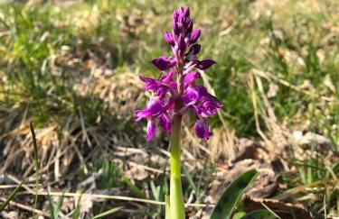 Chalet 10 pers sauna & SPA La tanière des Vosges - Foto 62