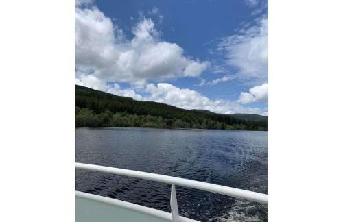 on the Willmann farm - Foto 16