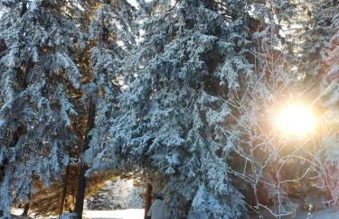 Appartement T2 col de Merdassier au pied des pistes - Photo 15