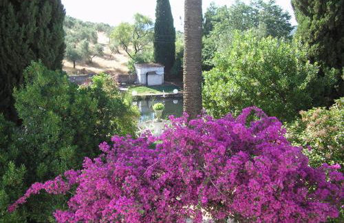 Finca La Favorita- Suites - Foto 71