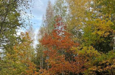 Nature Home Rybical - Foto 61