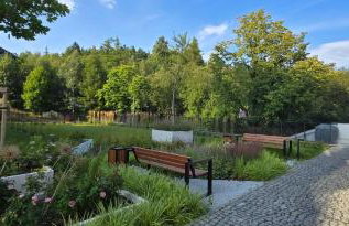 Green Diamond - Foto 18