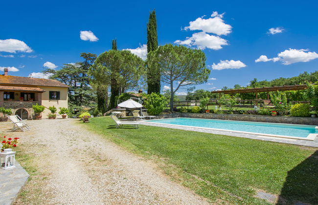 Cedri Alti - Foto 22