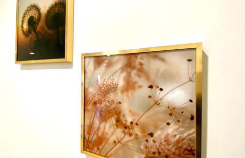 Im Grünen von Kiel - Foto 40