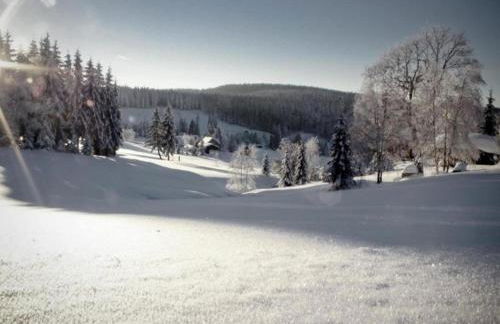 Ferienhaus mit Schwimmbad in Jagersgrun - Foto 57