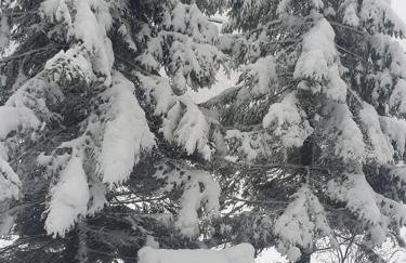 Kuća za odmor Platak - Foto 24