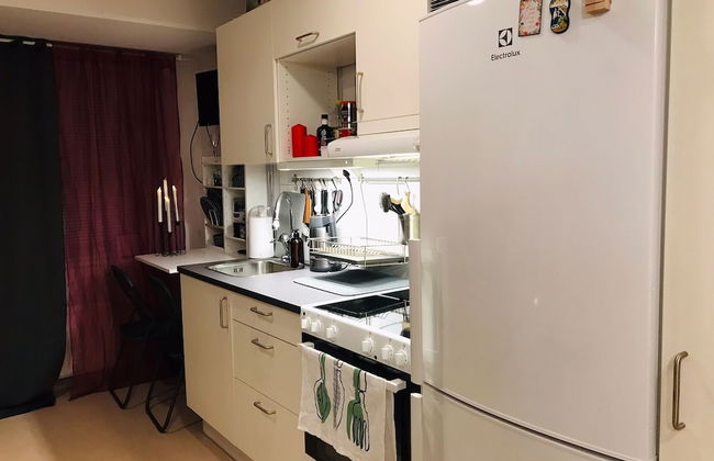 Casa South Studio in the Center of Stockholms Soho - Photo 14