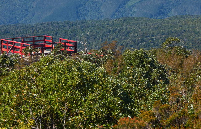 Hiking in Oncol Park - Photo 1