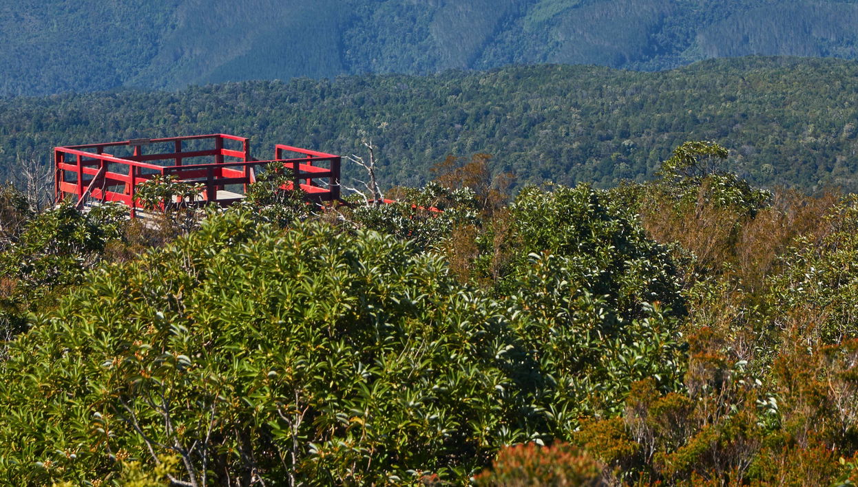Senderismo por el Parque Oncol