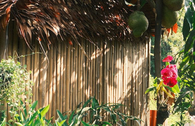 Madam Sokha Homesteading - Foto 31