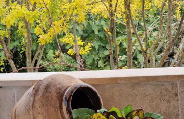 Lavanda apartman 1 - Foto 27