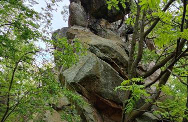 Domki nad potokiem w Baligrodzie - Foto 2