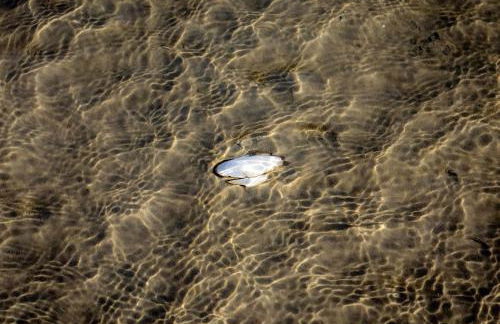 Ferienwohnung Glücks-Burg "Sonne" - Foto 21