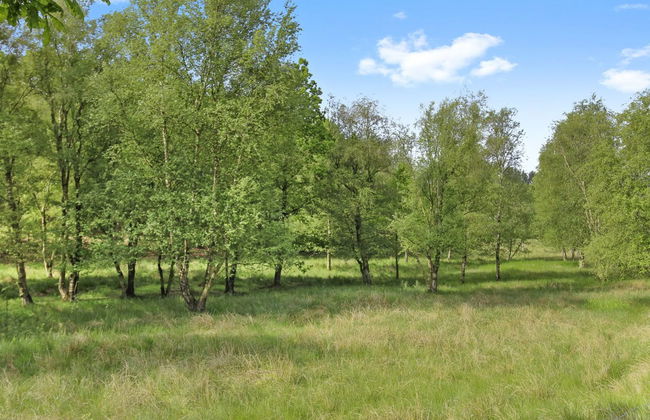 "Terese" - 45km from the sea - Photo 6